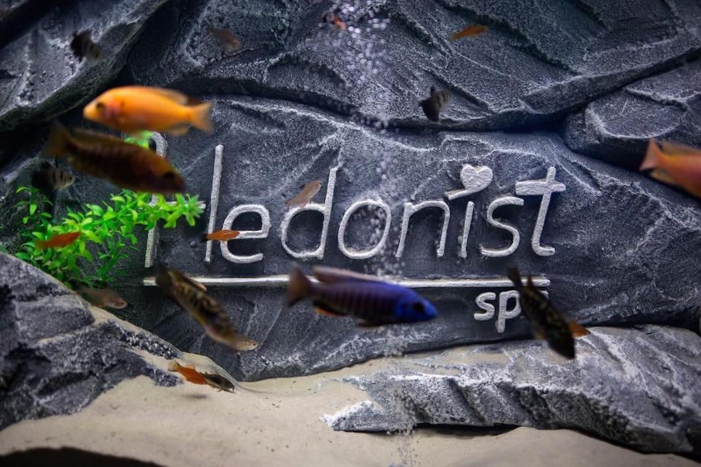 Hedonist-Belgrade Central Nest מראה חיצוני תמונה